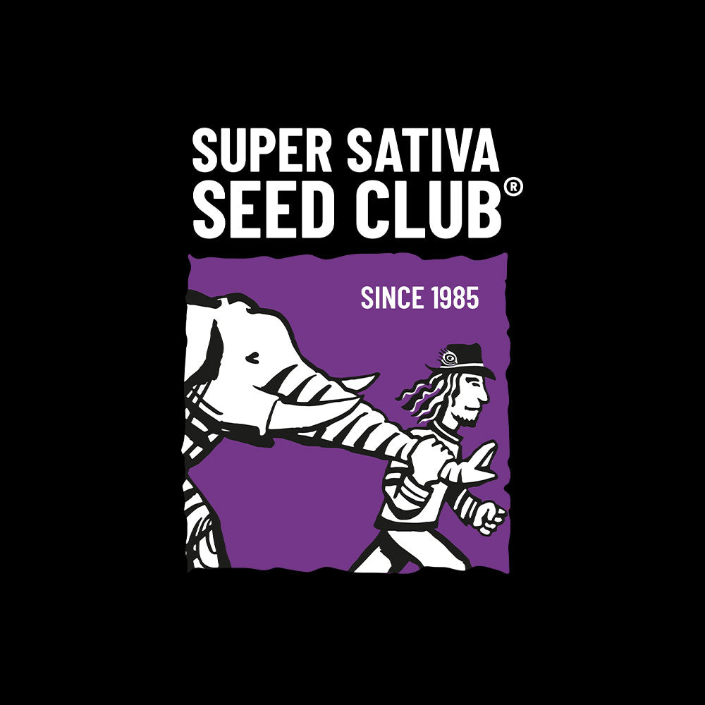 Super Sativa Seed Club