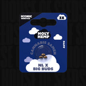 Blaue Holy Hemp Packung NL x Big Buds Auto mit 3 Samen und Wolkenmotiv vor dunklem Hintergrund