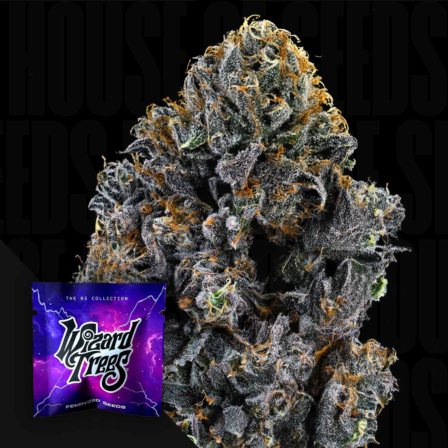 Big Z - Wizard Trees - cannabis seeds – House of Seeds Big Z - Wizard Trees - cannabis seeds – House of Seeds
