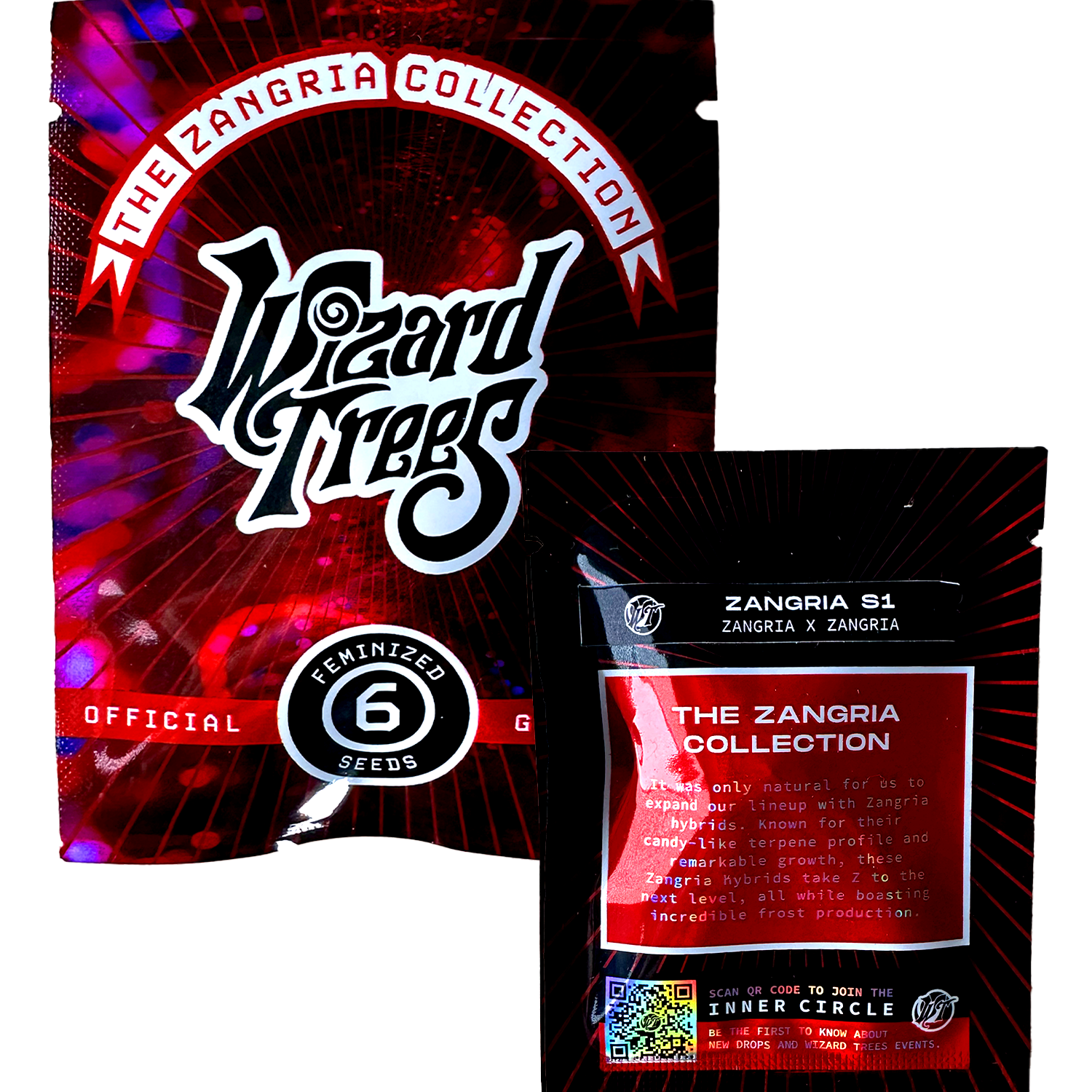 Zwei Samenpackungen „Zangria S1“ von Wizard Trees mit auffälligem Logo, roten und schwarzen Strahlen und Etikett „Feminized 6 Seeds“