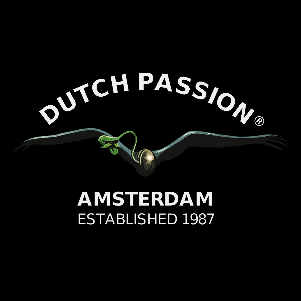 Dutch Passion