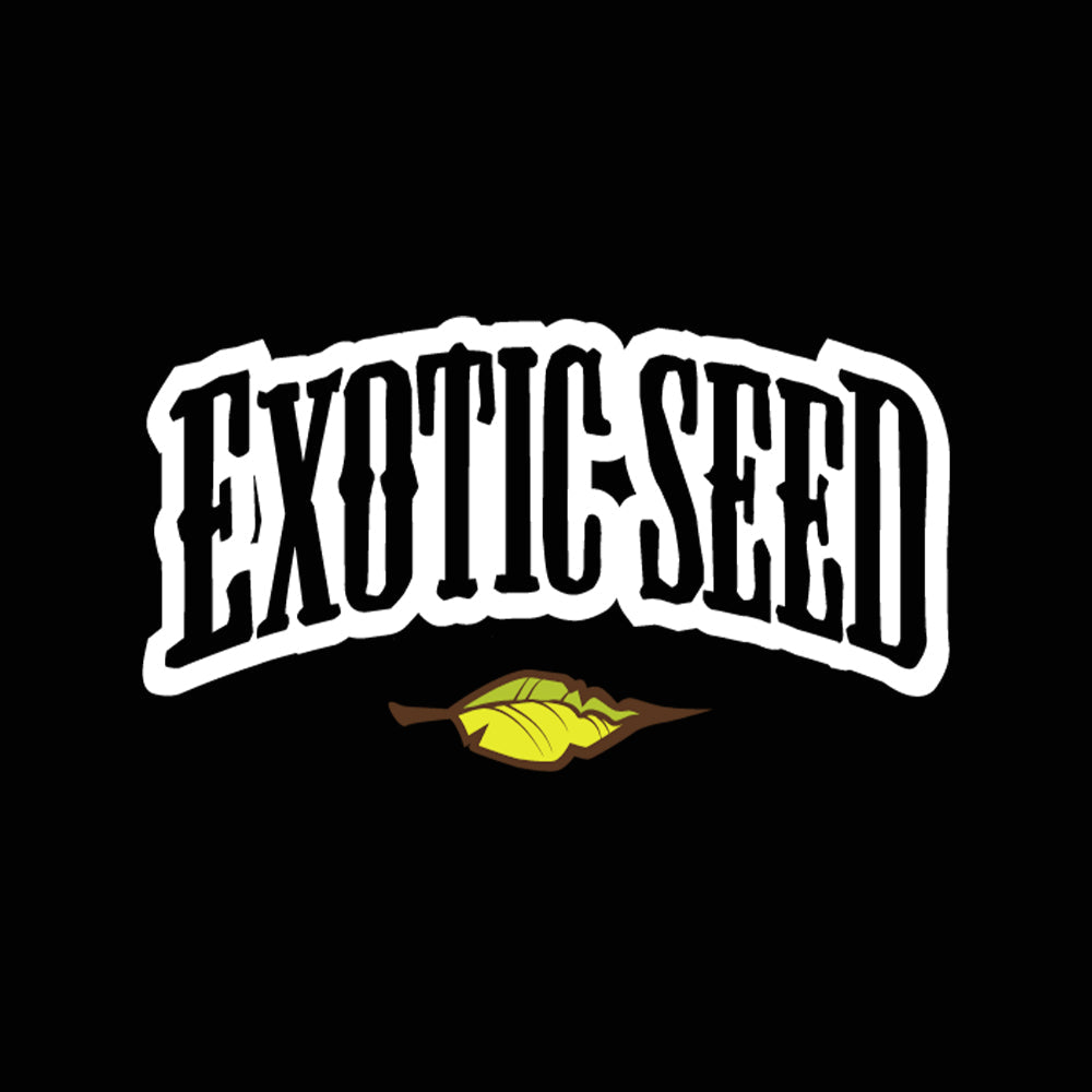 Exotic Seeds Regulares