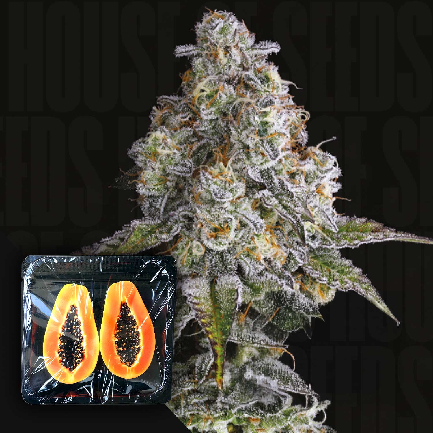 Drip District Cannabis Knospe mit Frost und Trichomen, unten links Verpackung mit halbierter Papaya