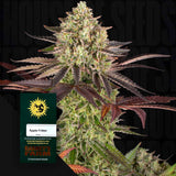 Apple Fritter