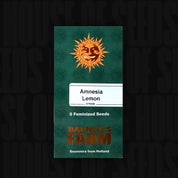 Grünes Barney’s Farm Amnesia Lemon Päckchen mit Sonnenlogo, Aufschrift 5 feminisierte Samen und Souvenirs from Holland
