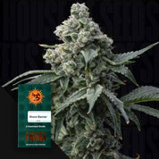 Bruce Banner