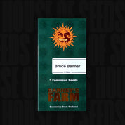 Bruce Banner