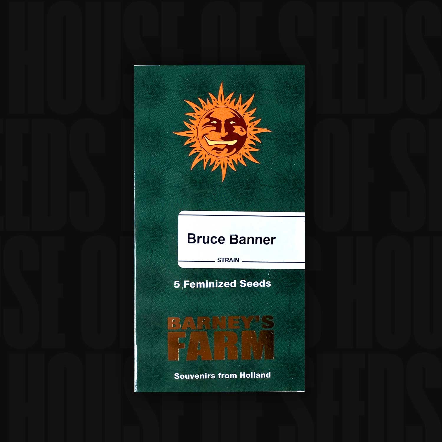 Bruce Banner