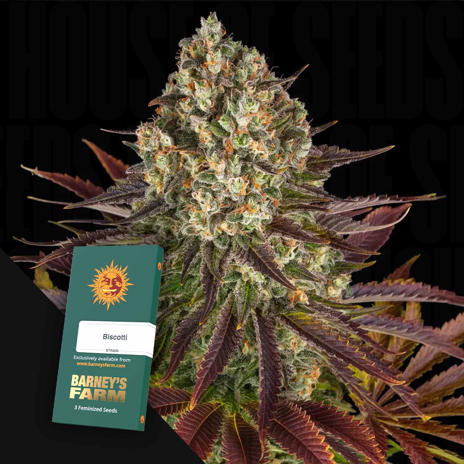 BF-BCT-0