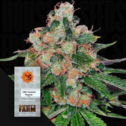 Caramelo de CBD