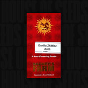 Coche Gorilla Zkittlez