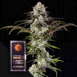 London Pound Cake F1