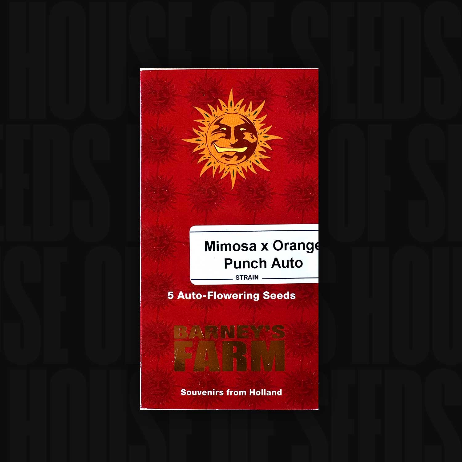 Buy Mimosa x Orange Punch Auto cannabis seeds from Barney's Farm