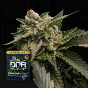 DNA-STS-3