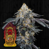 Quicklato Sherbet