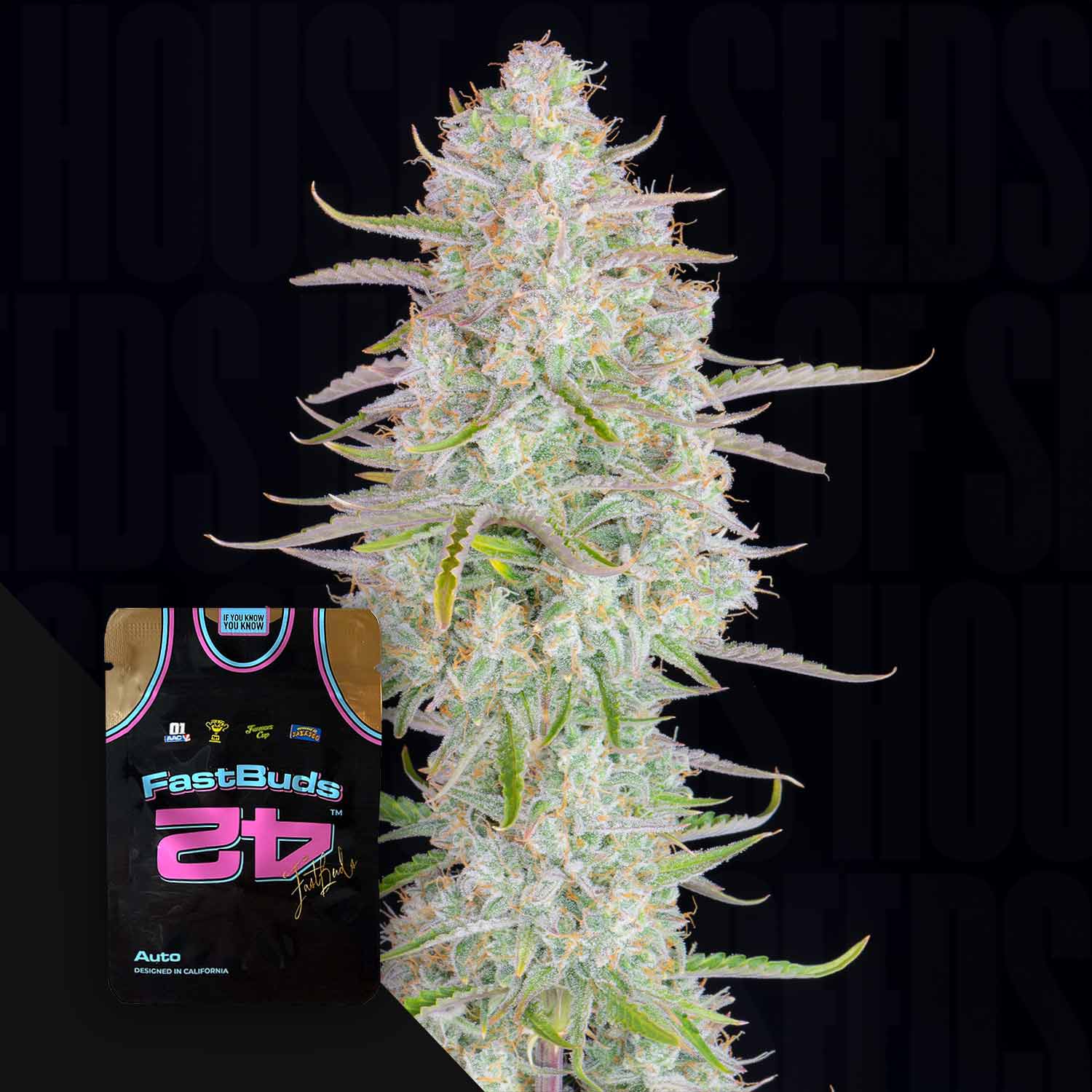 Eine Nahaufnahme einer frostigen Cannabis-Knospe mit einer 420 Fast Buds Wedding Cheesecake Auto Samenpackung in der Ecke.