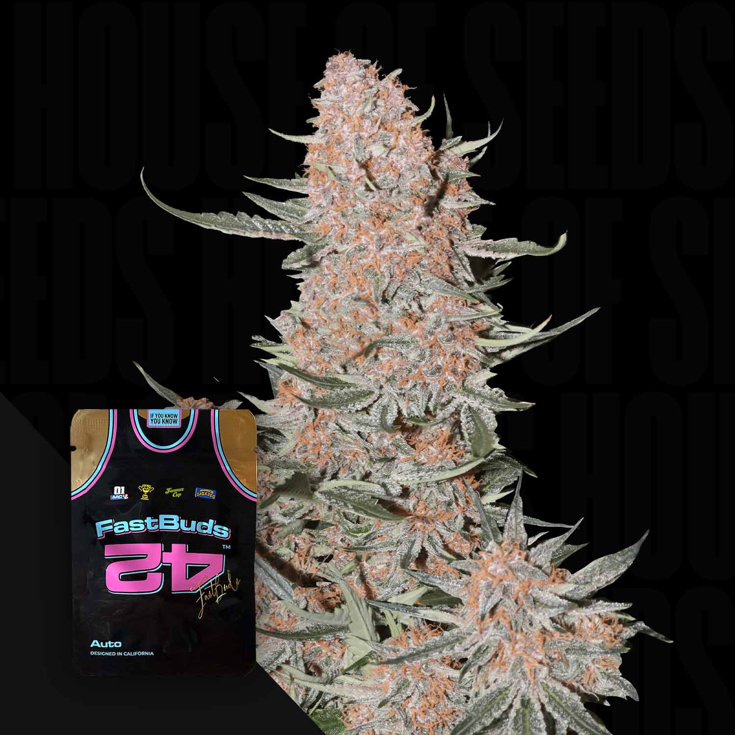 Nahaufnahme einer frostigen Cannabisknospe neben einem Ztrawberriez Auto-Samenpaket von 420 Fast Buds mit einem Trikotdesign.