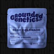 Blue Gelonade