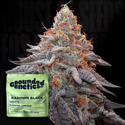 Kashmir Black