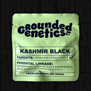 Kashmir Black