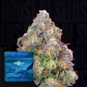 Blue Zlime