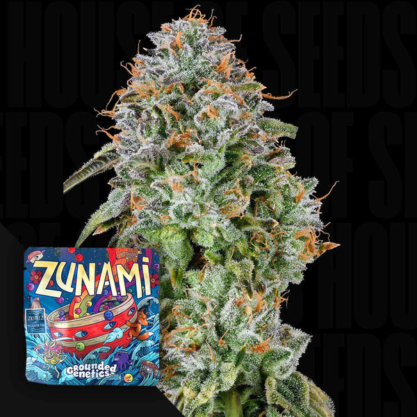 GRG-ZU-10-1_grande.jpg?v=