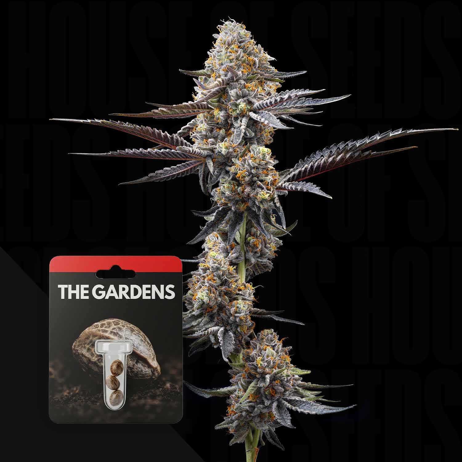 Preferred Gardens 
