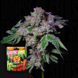 Sour Aloha