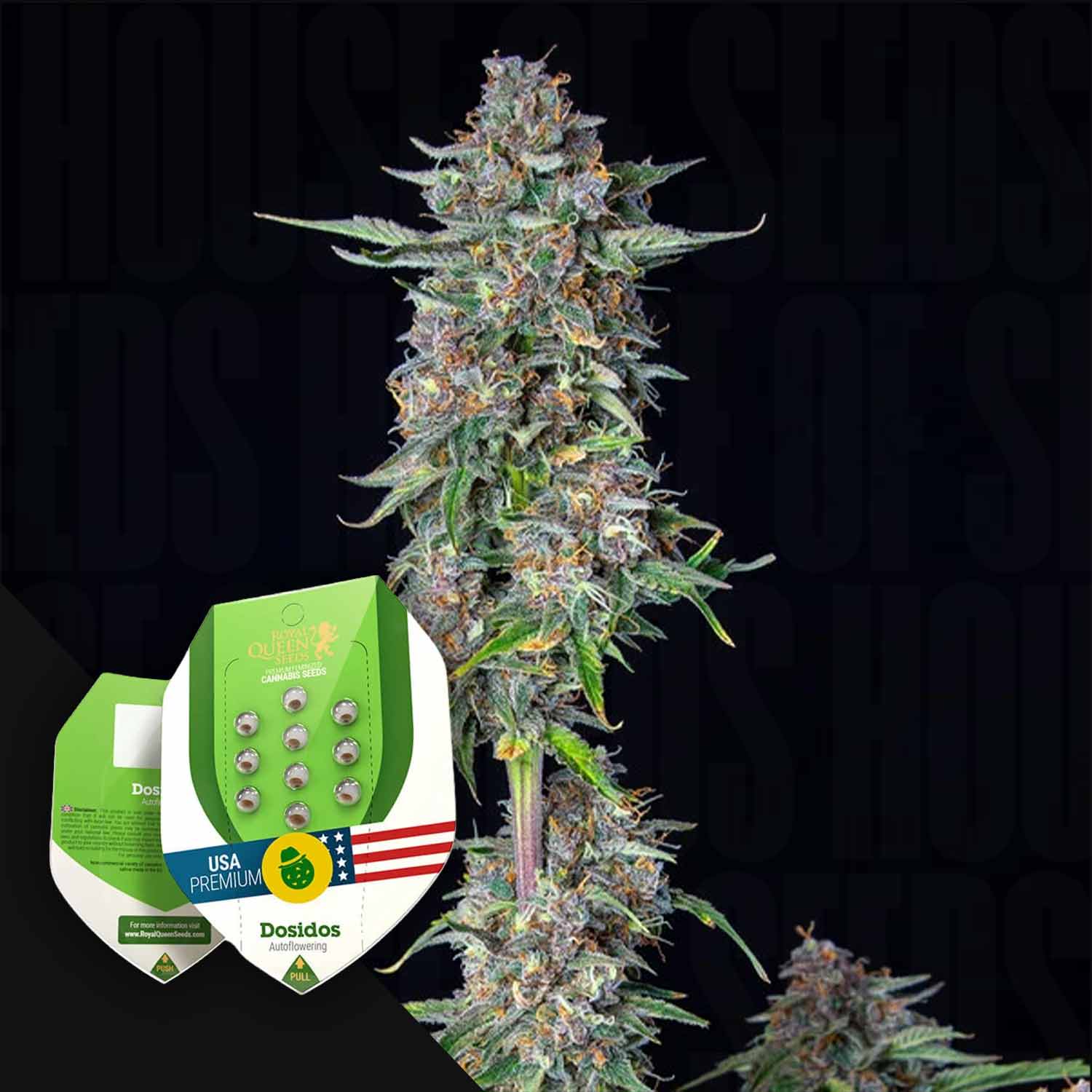 Do-si-dos Auto Cannabis Samen von Royal Queen Seeds kaufen – House of Seeds