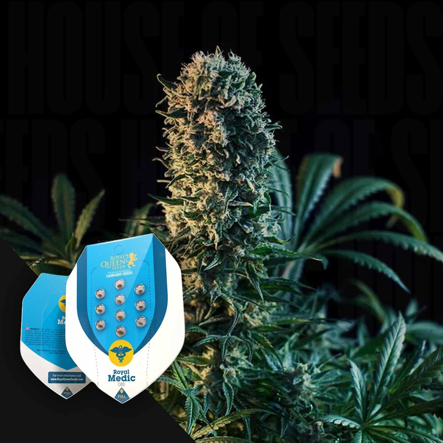 RQS-RME-0