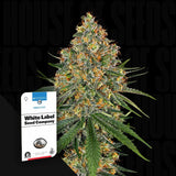 White Cheese