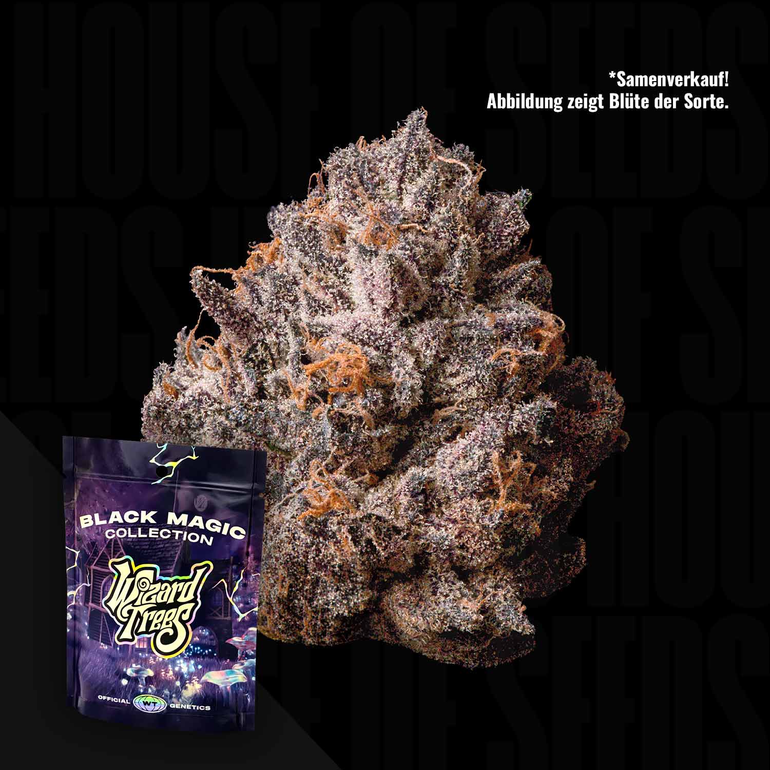 Wizard Treez Buy Wizard Trees cannabis seeds – Best price guarantee – House of Seeds