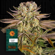 Pineapple Express