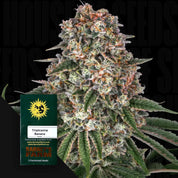 Tropicanna Banana