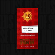 Barney's Farm White Widow XXL Auto, rote Packung mit 3 selbstblühenden Samen.